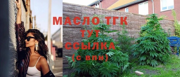 СК Алексин