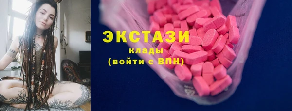 СК Алексин