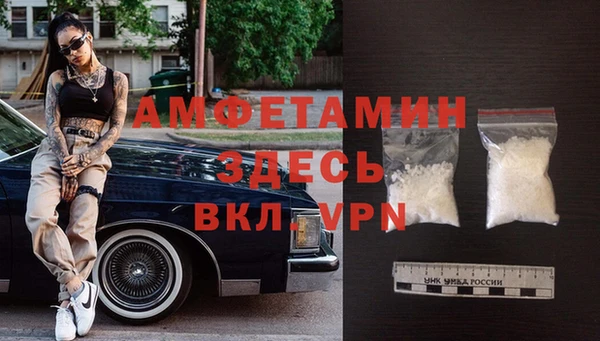 СК Алексин