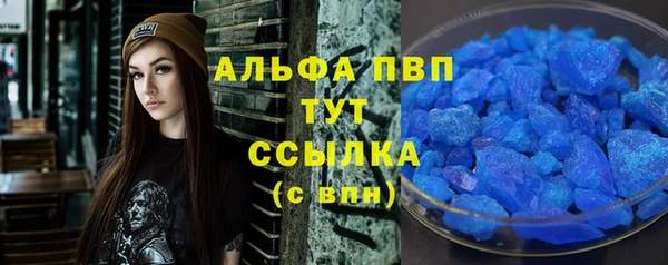 СК Алексин