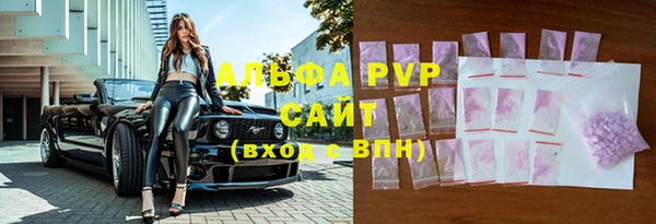 СК Алексин