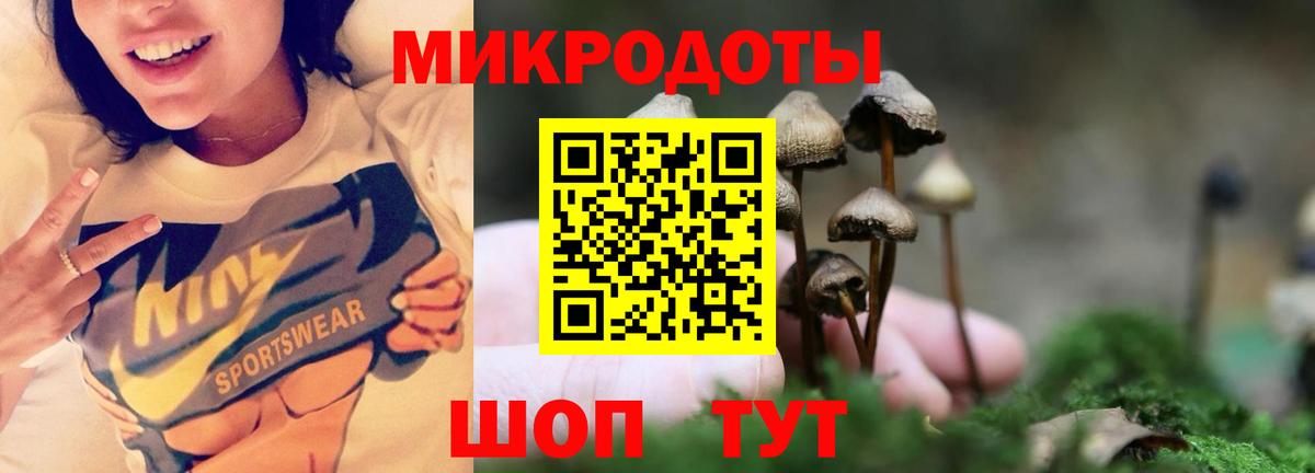 Псилоцибиновые грибы мицелий Курск